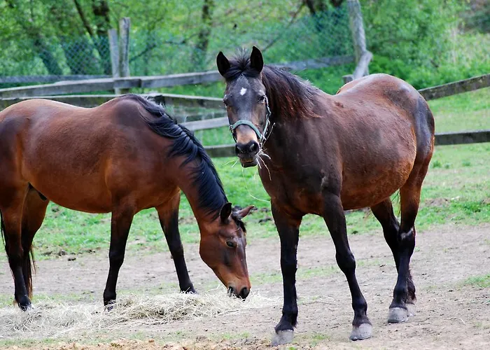 بيت ضيافة Gostisce Jutrisa Rogatec